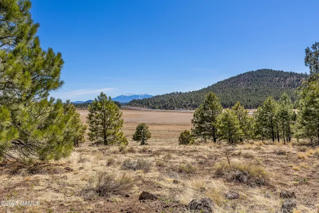 a view of dirt field with trees in the background