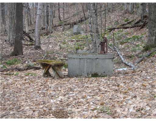 137.8 Owl Road Bethel, ME 04217 - Photo 8 of 13 Other. Well with hand pump.