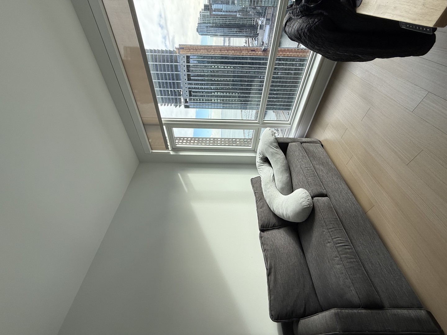 514 North Peshtigo Court, Unit 3307 Chicago, IL 60611 - Photo 12 of 30