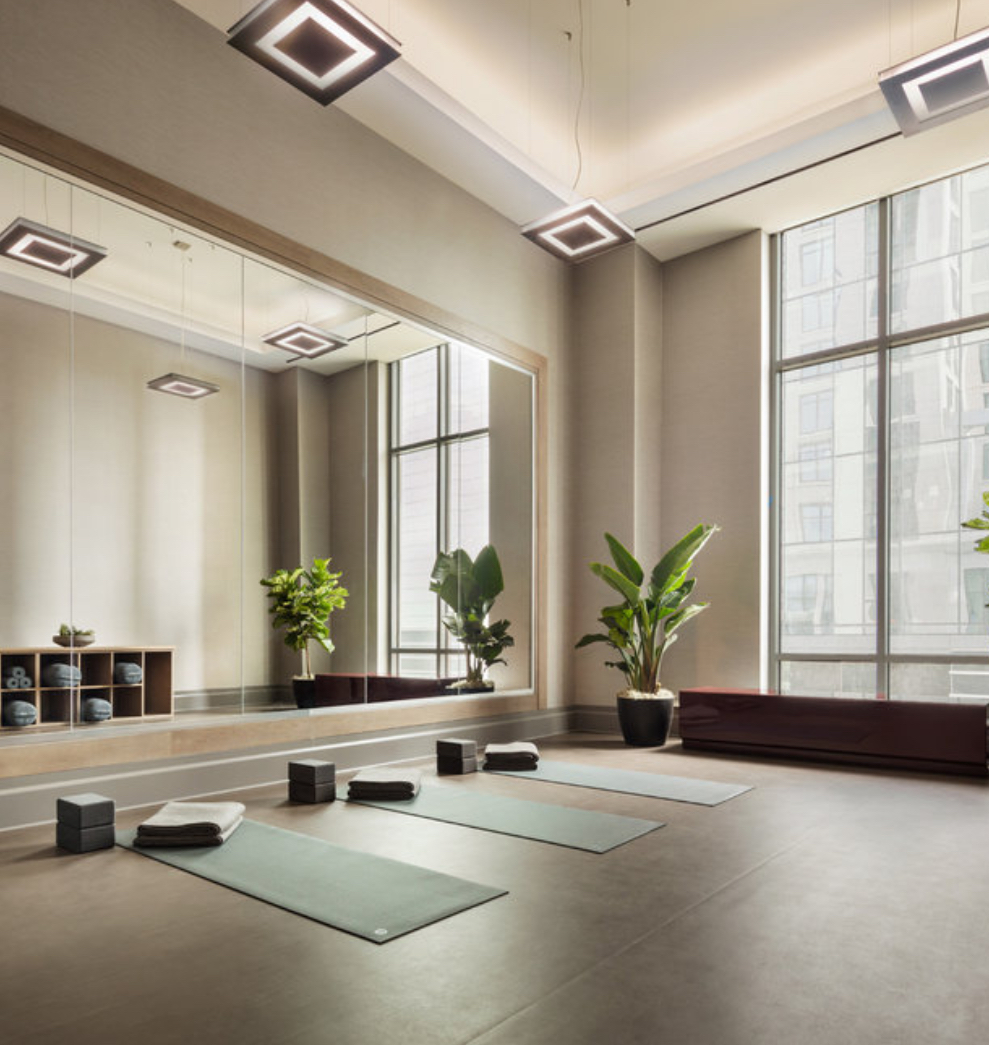 514 North Peshtigo Court, Unit 3307 Chicago, IL 60611 - Photo 20 of 30 a living room with furniture and potted plants next to a large window