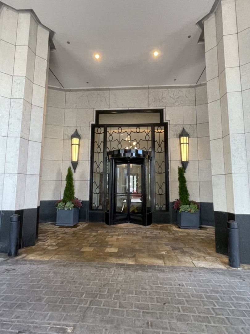 514 North Peshtigo Court, Unit 3307 Chicago, IL 60611 - Photo 2 of 30 a view of a building with a potted plant