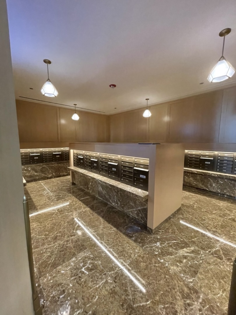 514 North Peshtigo Court, Unit 3307 Chicago, IL 60611 - Photo 5 of 30