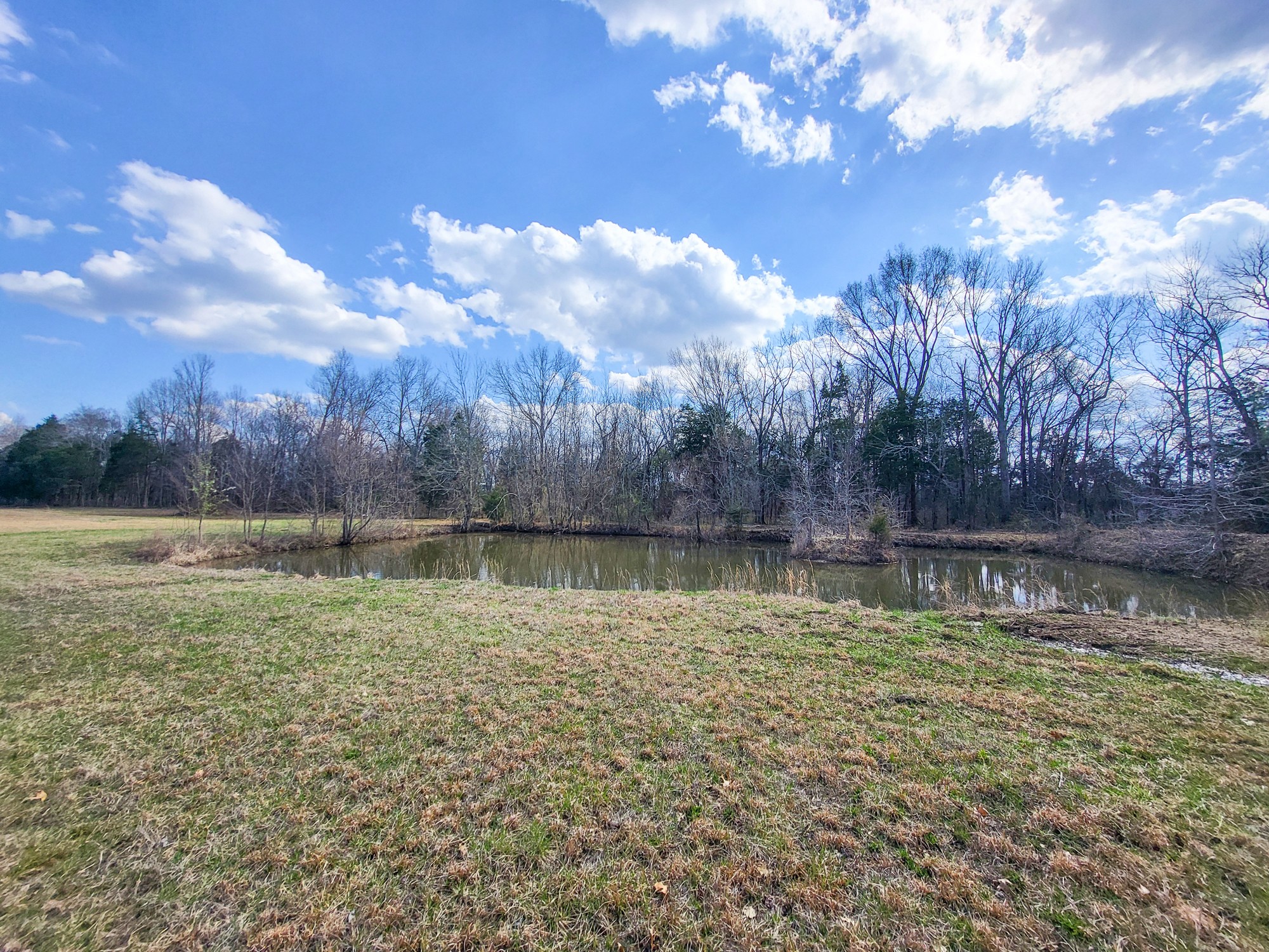 7497 Joe Rowlin Road Christiana, TN 37037 - Photo 17 of 23 Gallery Image 17