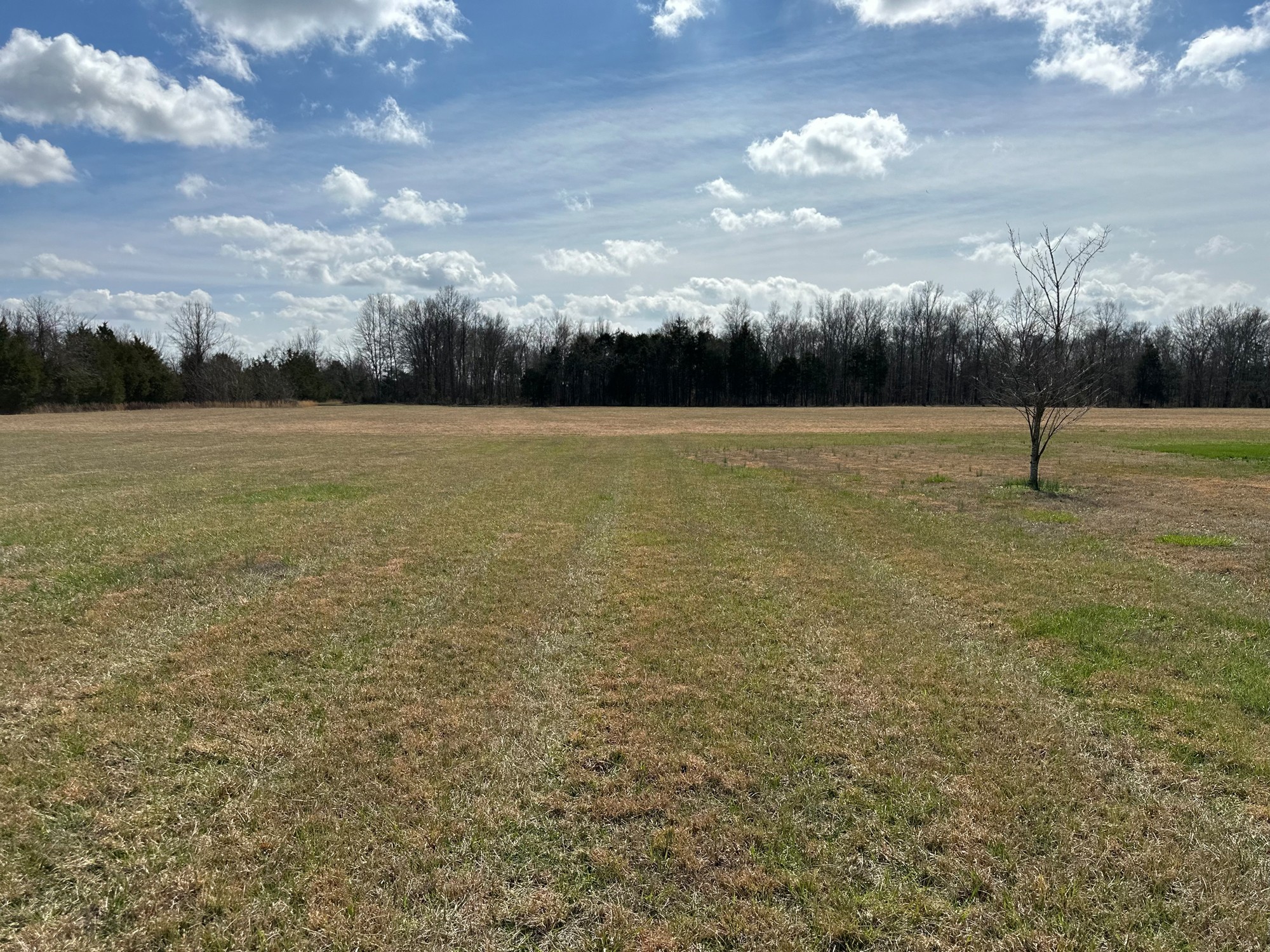 7497 Joe Rowlin Road Christiana, TN 37037 - Photo 20 of 23 Gallery Image 20