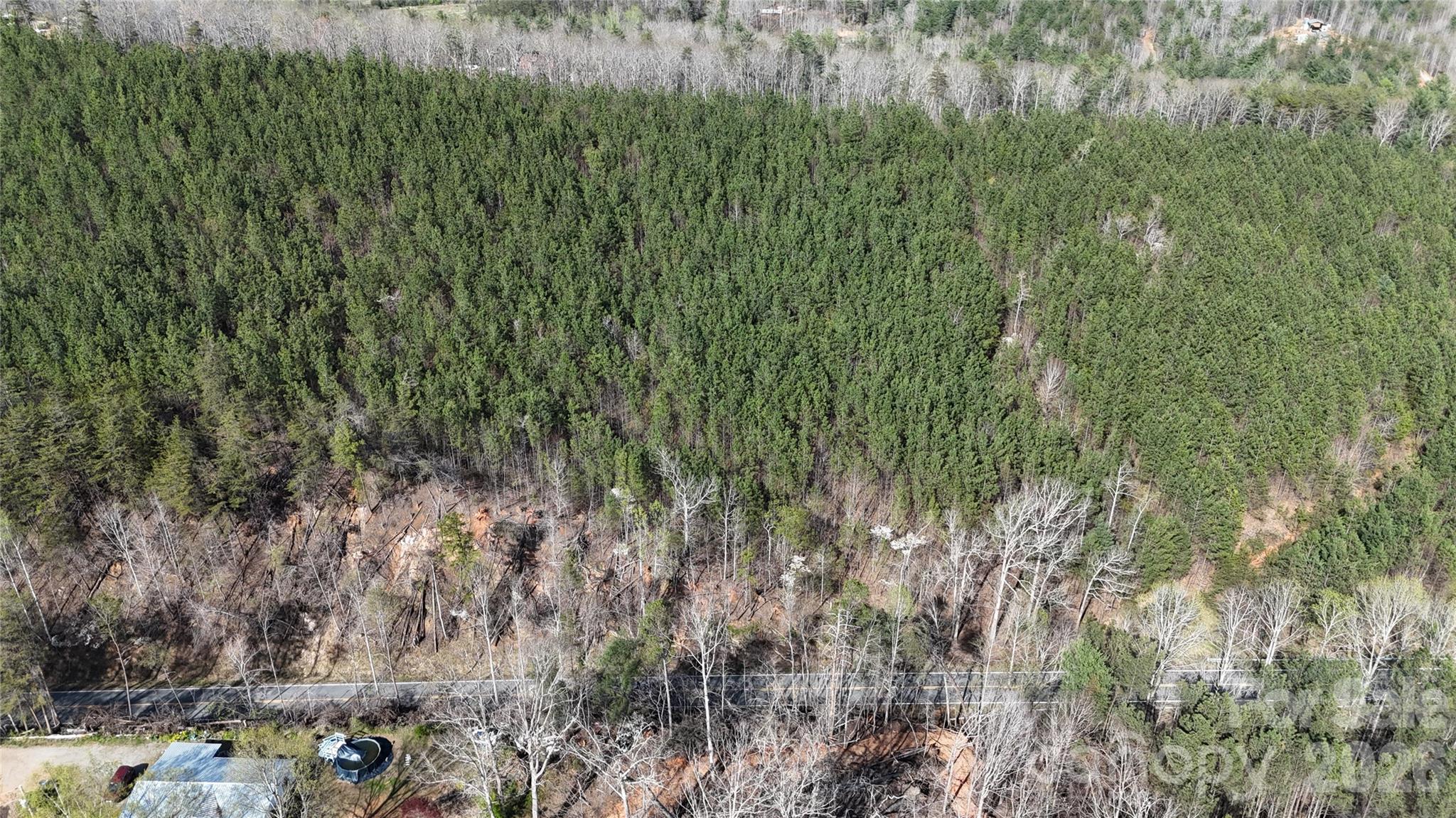 0 Nc Highway Bostic, NC 28018 - Photo 17 of 18 a view of a forest with a street