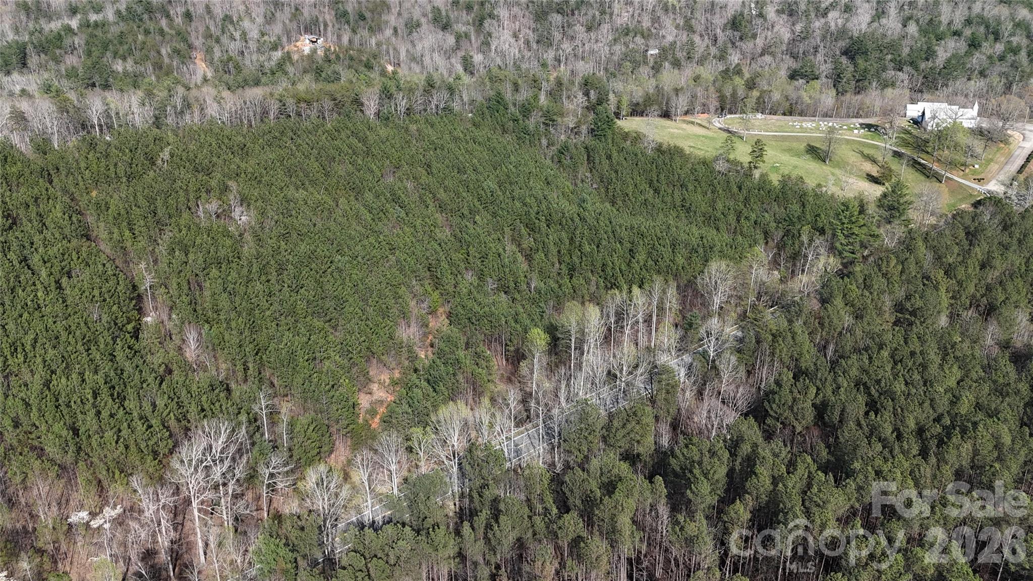 0 Nc Highway Bostic, NC 28018 - Photo 18 of 18 a view of a lush green forest with lots of tall trees