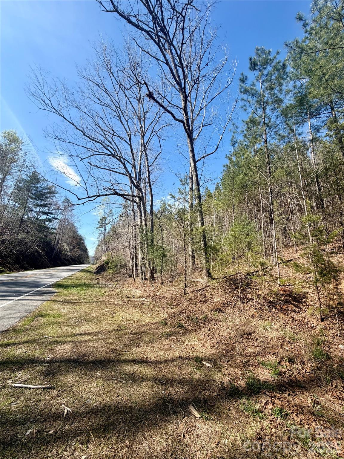 0 Nc Highway Bostic, NC 28018 - Photo 4 of 18 a view of dirt yard with a large tree