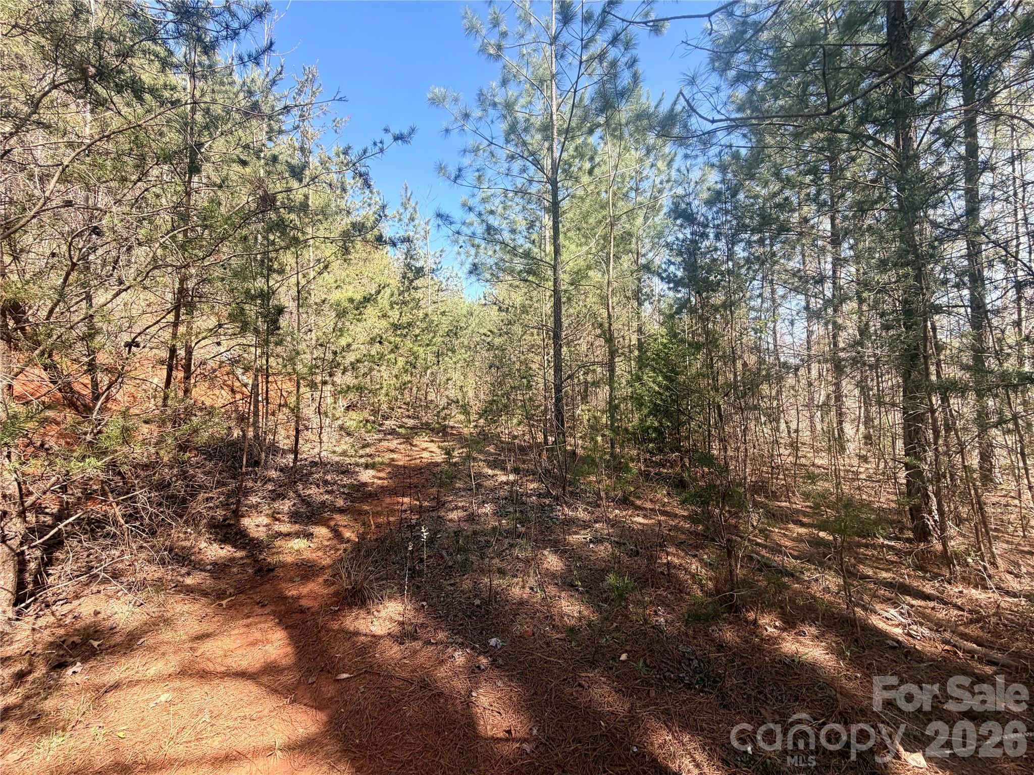 0 Nc Highway Bostic, NC 28018 - Photo 5 of 18 a view of a yard with a tree