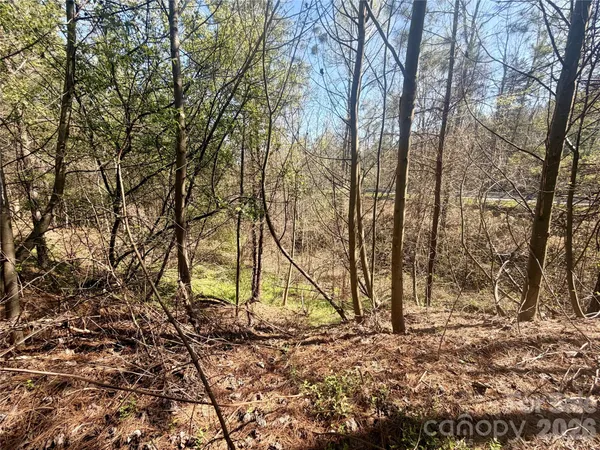$163,500 | 0 Nc Highway, Bostic, NC 28018
