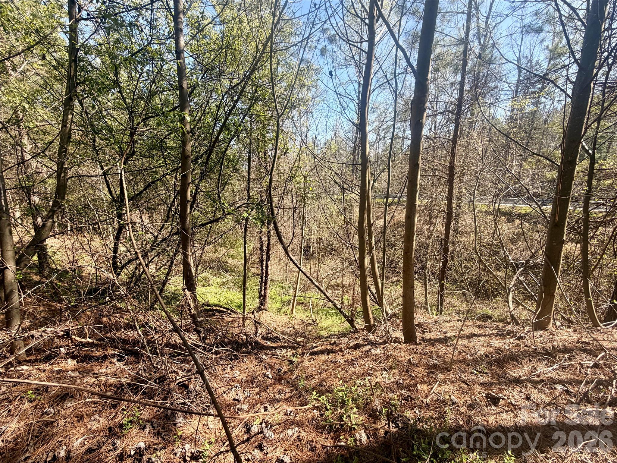 0 Nc Highway Bostic, NC 28018 - Photo 6 of 18 a backyard of a house with large trees