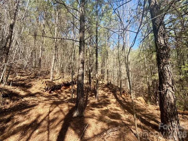 $163,500 | 0 Nc Highway, Bostic, NC 28018