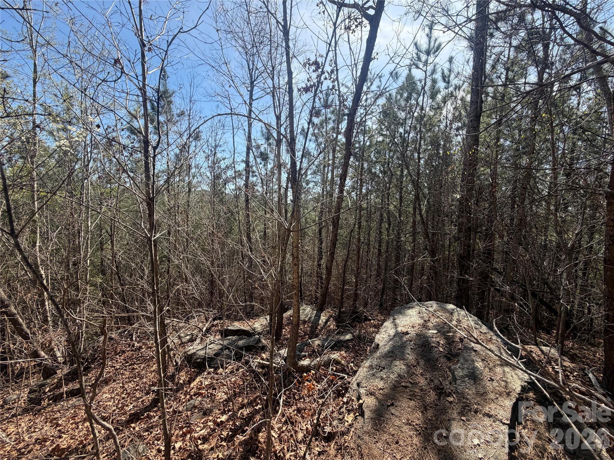 0 Nc Highway Bostic, NC 28018 - Photo 9 of 18 a view of backyard with tree