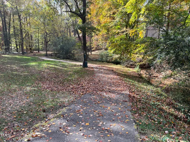 a view of a tree in a yard