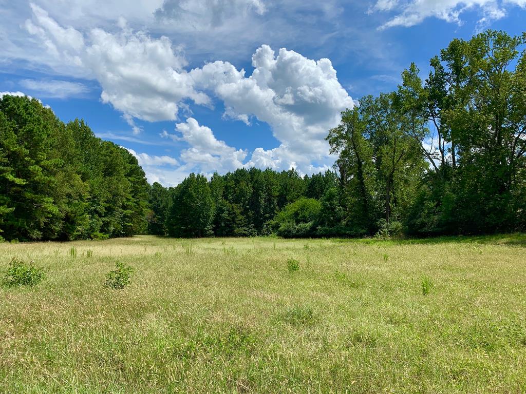 0 Burnett Road Greenwood, SC 29646 - Photo 1 of 1 Main View