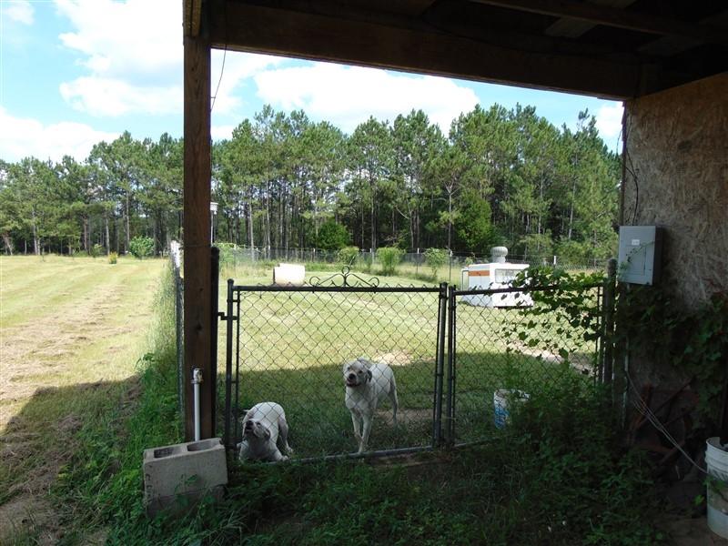 388 Mosley Road DeFuniak Springs, FL 32433 - Photo 5 of 49 Back (6)