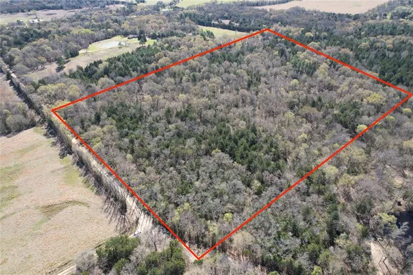 $221,235 | 0 Hop Cty Road 2412, Pickton, TX 75471