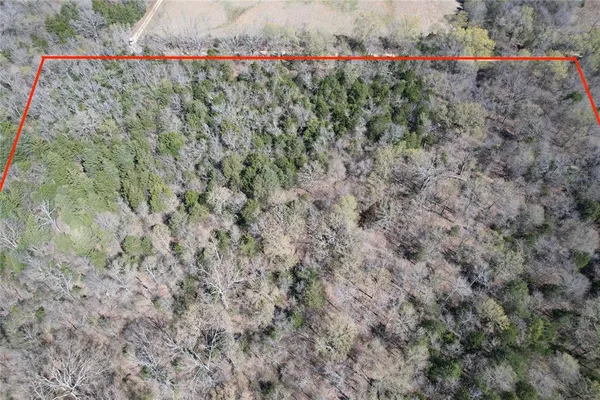 $221,235 | 0 Hop Cty Road 2412, Pickton, TX 75471