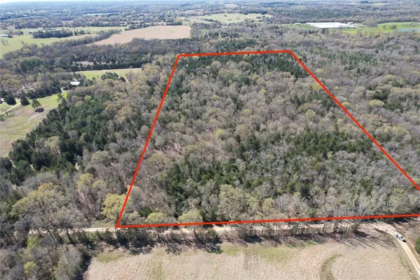 $221,235 | 0 Hop Cty Road 2412, Pickton, TX 75471