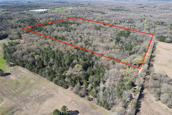 a view of a dry yard