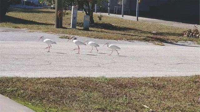 $225,000 | 418 Cove Drive, Satsuma, FL 32189