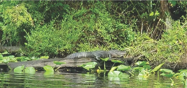 a view of empty room with painted walls