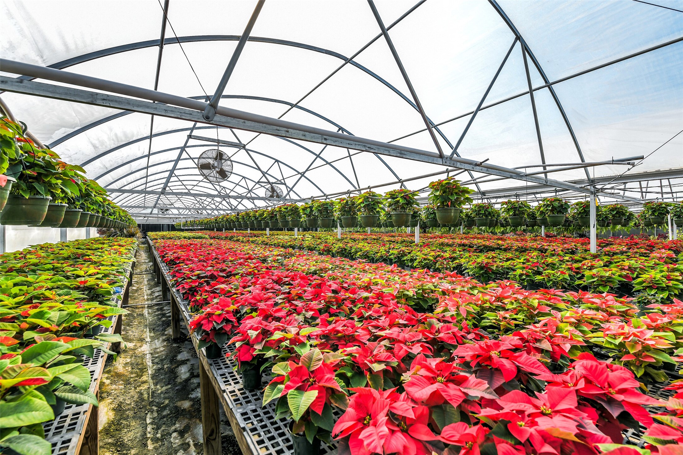 511 West Main Street Weimar, TX 78962 - Photo 17 of 30