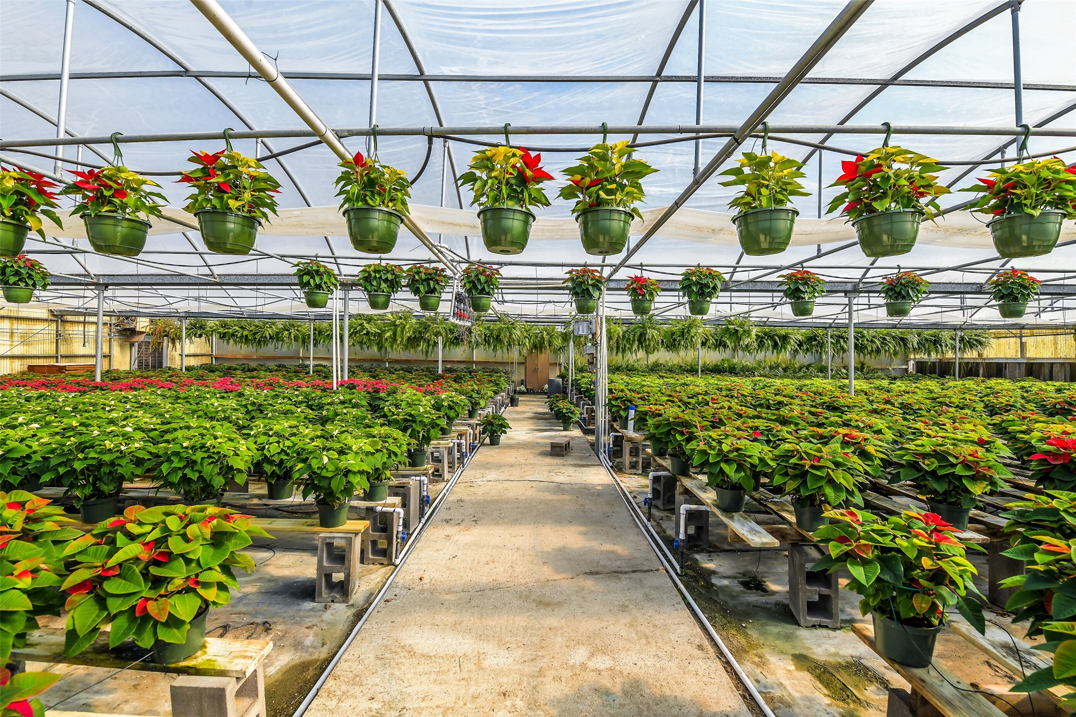 511 West Main Street Weimar, TX 78962 - Photo 20 of 30