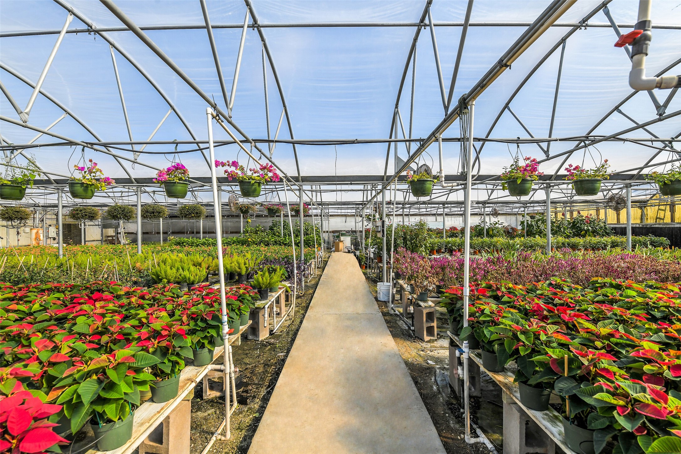511 West Main Street Weimar, TX 78962 - Photo 23 of 30 a view of small garden