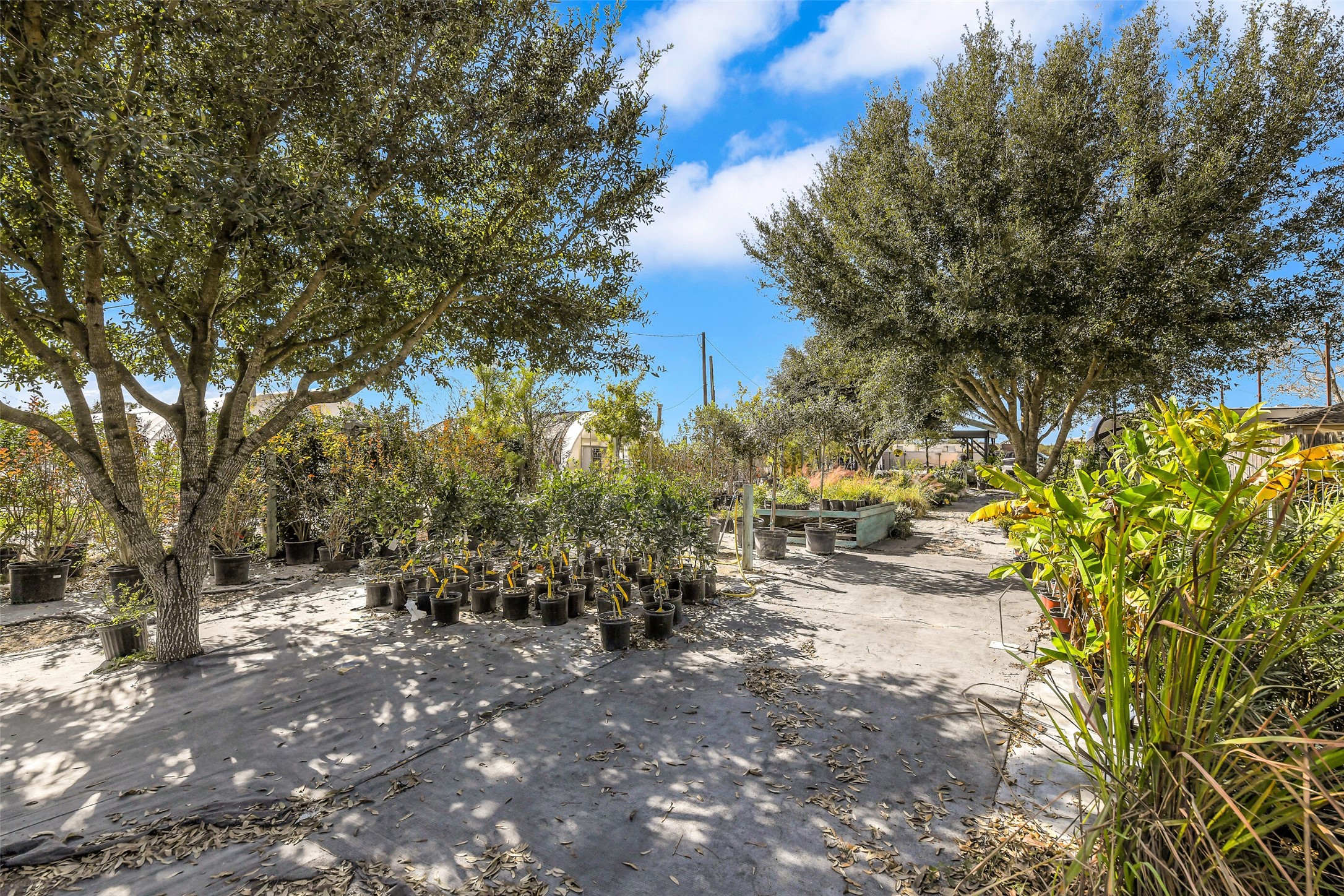 511 West Main Street Weimar, TX 78962 - Photo 24 of 30 a view of outdoor space and yard