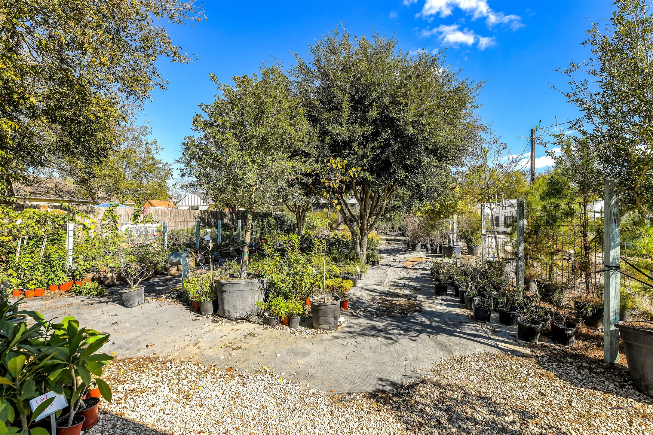 511 West Main Street Weimar, TX 78962 - Photo 25 of 30 a view of a yard with plants and trees
