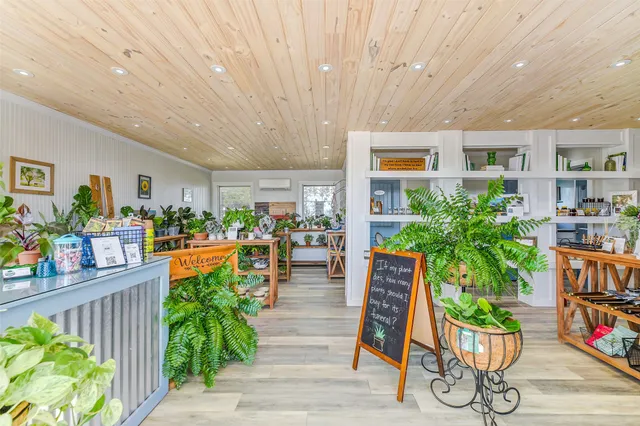 a living room with furniture and a potted plant
