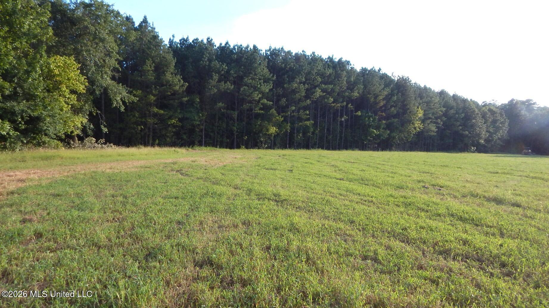 500 Cr 247 Road, Unit COUNTRY Bruce, MS 38915 - Photo 5 of 10 DSCN5711
