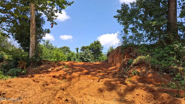 $29,500 | Gray Academy Road, Ashland, MS 38603