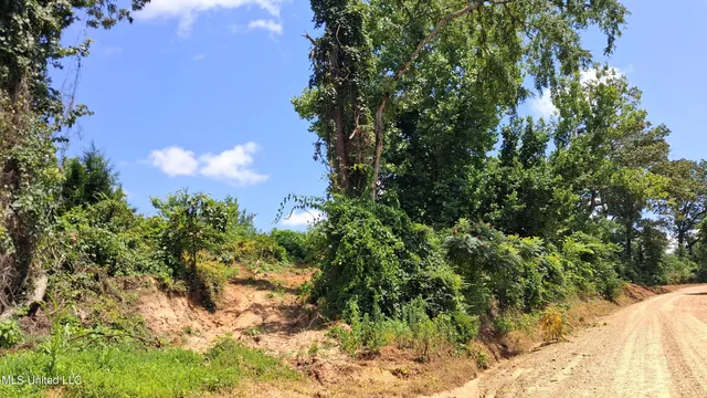 $29,500 | Gray Academy Road, Ashland, MS 38603