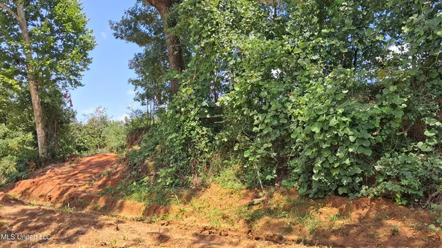 $29,500 | Gray Academy Road, Ashland, MS 38603