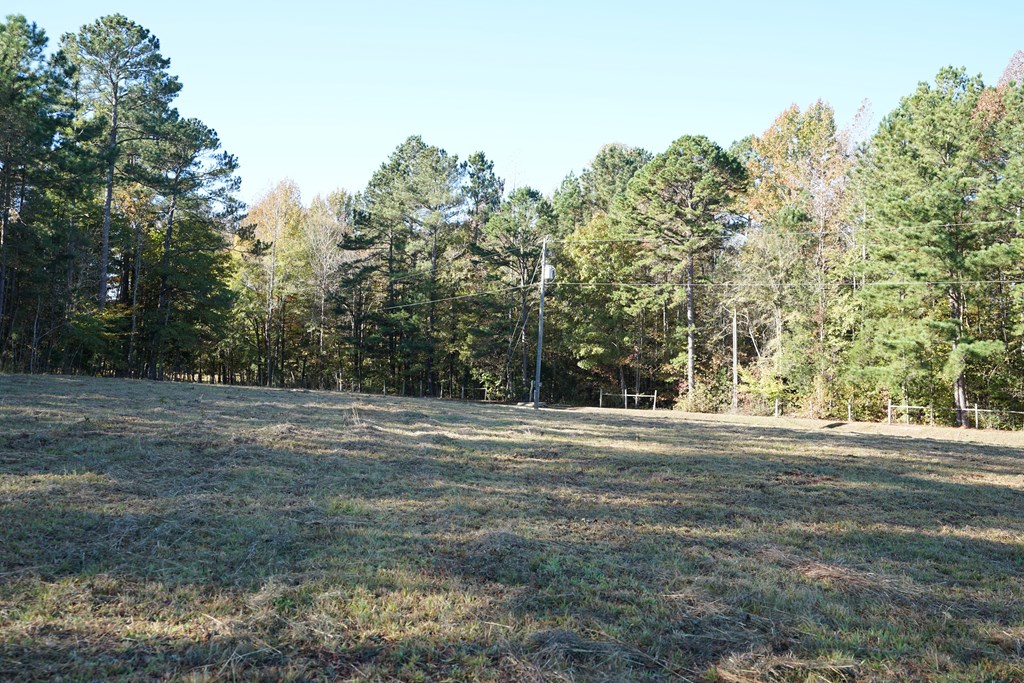 0 Blue Jay Road Hodges, SC 29653 - Photo 4 of 21 Gallery Image 4