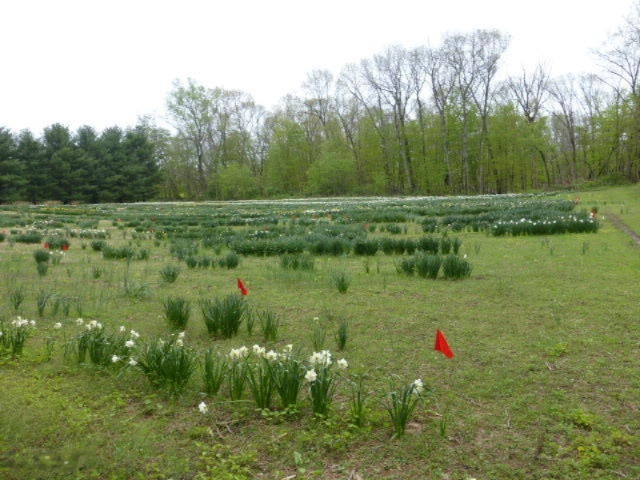 1810 West Bertrand Road Niles, MI 49120 - Photo 1 of 6 P1010187