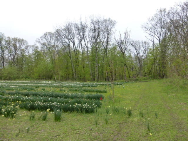 1810 West Bertrand Road Niles, MI 49120 - Photo 4 of 6 P1010194