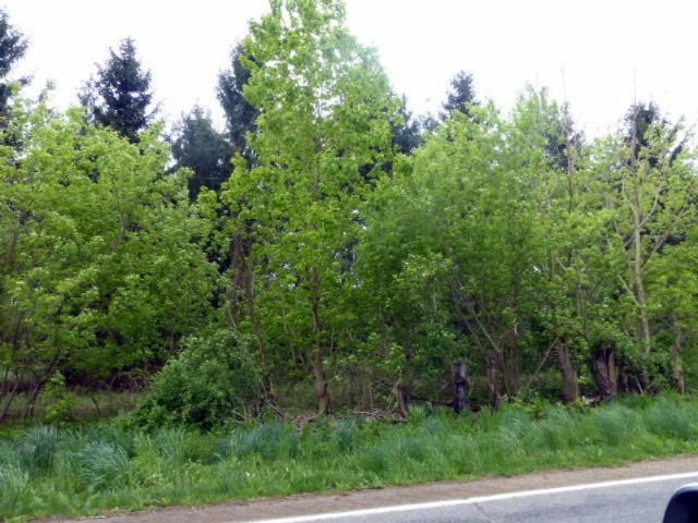 1810 West Bertrand Road Niles, MI 49120 - Photo 6 of 6 P1010195