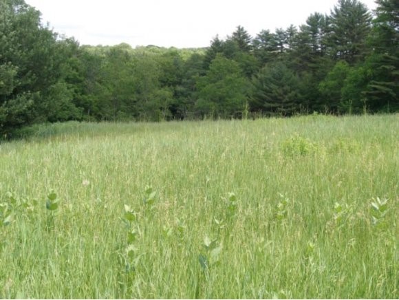 0 Mt Gilboa Road Westmoreland, NH 03467 - Photo 1 of 1 Gallery Image 1