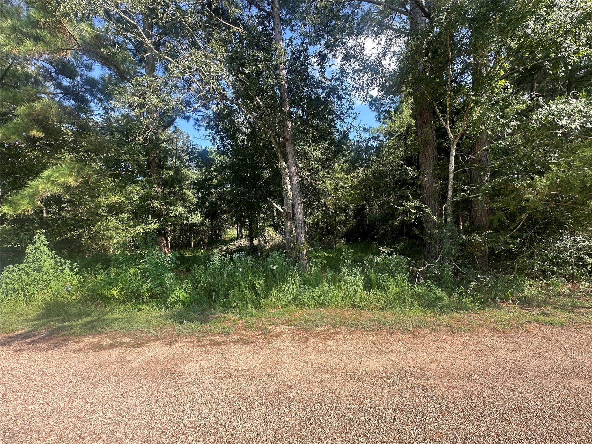 26546 Pin Oak Drive Hempstead, TX 77445 - Photo 11 of 12 a view of backyard with green space