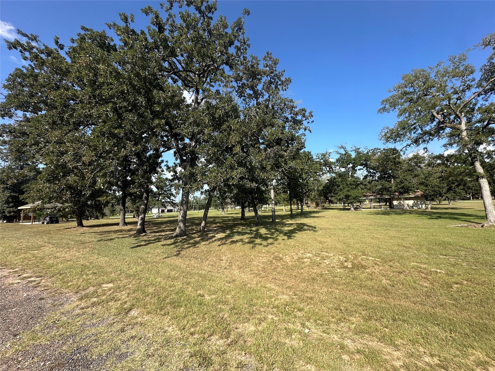 26546 Pin Oak Drive Hempstead, TX 77445 - Photo 6 of 12 a view of a yard with swimming pool