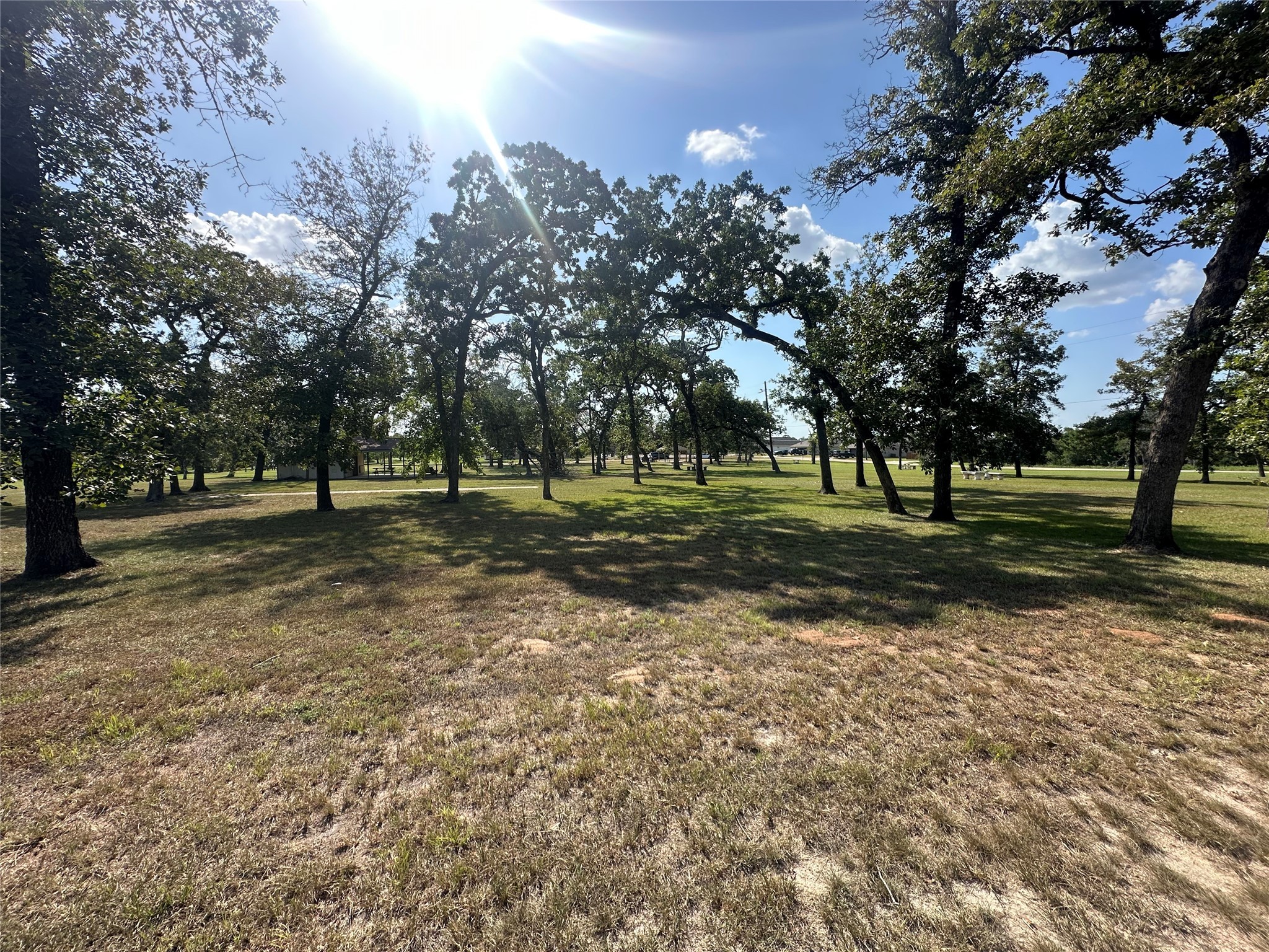 26546 Pin Oak Drive Hempstead, TX 77445 - Photo 8 of 12 a view of park with trees