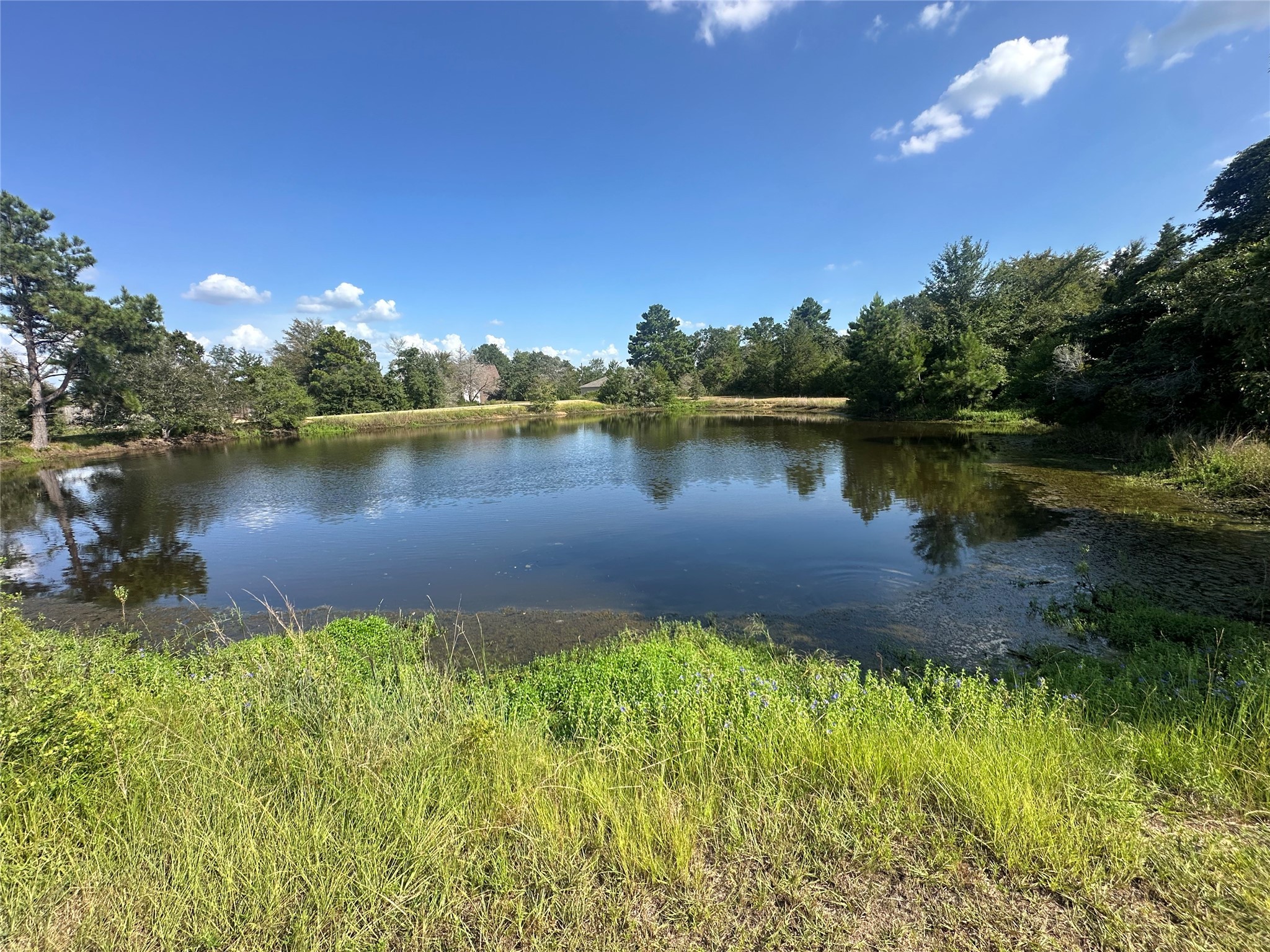 26546 Pin Oak Drive Hempstead, TX 77445 - Photo 9 of 12 a view of a lake in a city