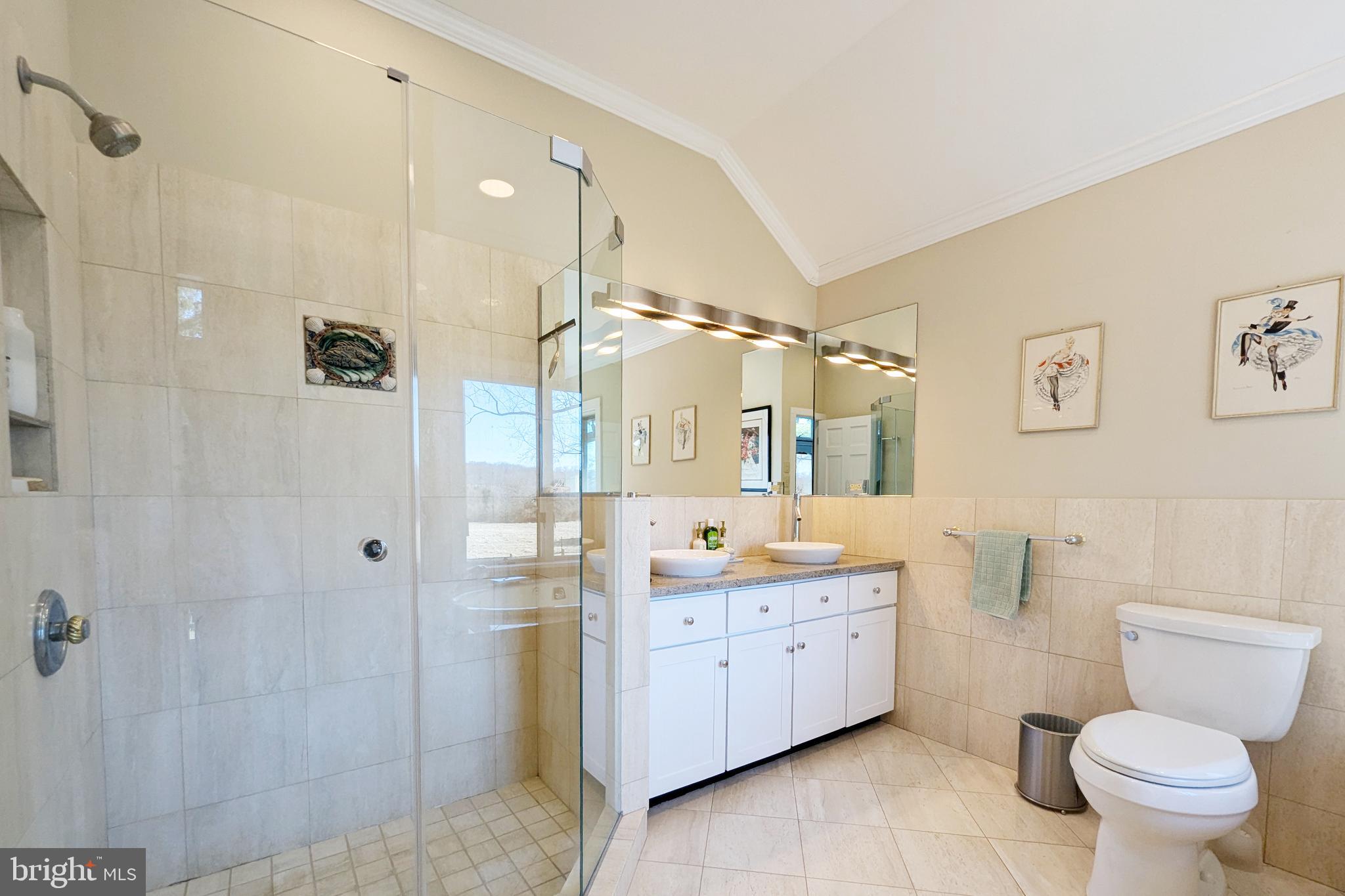 5997 Stovers Mill Road Doylestown, PA 18902 - Photo 21 of 32 Primary Bath