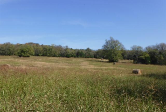 65 Dry Branch Road Alexandria, TN 37012 - Photo 1 of 30 a view of an outdoor space and a yard
