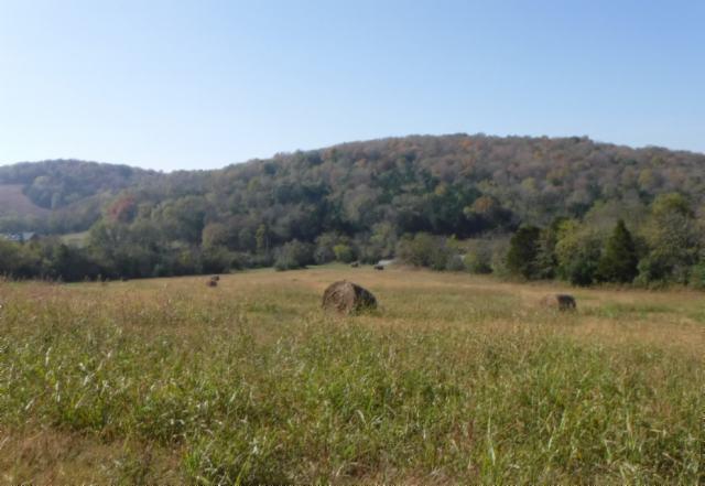 65 Dry Branch Road Alexandria, TN 37012 - Photo 2 of 30 a view of outdoor space and mountain view