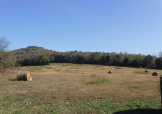 65 Dry Branch Road Alexandria, TN 37012 - Photo 14 of 30 a view of outdoor space and yard