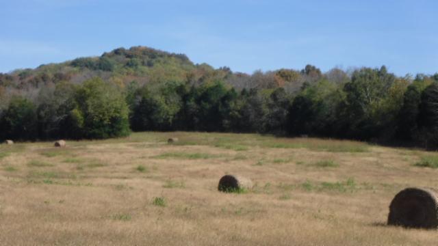 65 Dry Branch Road Alexandria, TN 37012 - Photo 16 of 30 a view of a backyard