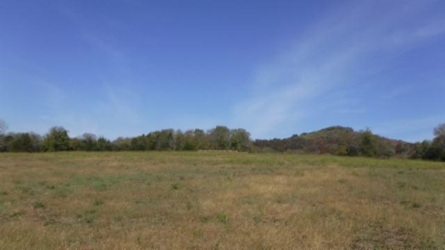 65 Dry Branch Road Alexandria, TN 37012 - Photo 17 of 30 a view of mountain with outdoor space